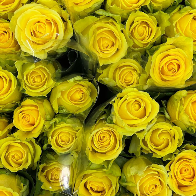 Трішки естетики від floradeluxe
