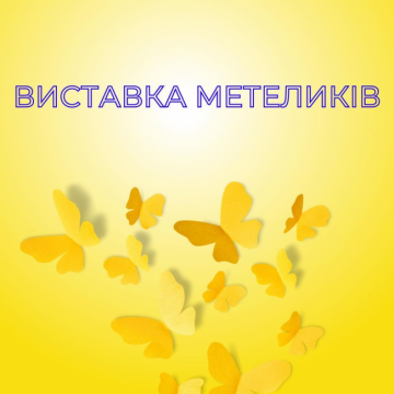 Виставка метеликів
